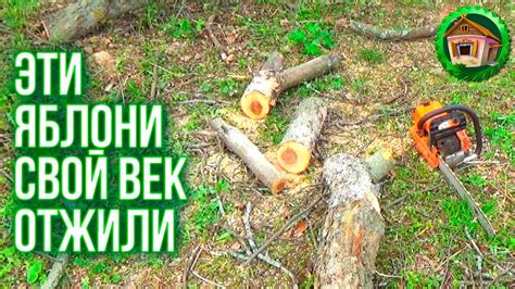 Пилим старые яблони. Освежаем сад в деревне. Как спилить дерево. 127 ...
