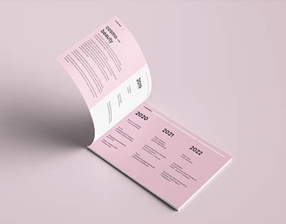 Макетинг-кит Projects :: Photos, videos, logos, illustrations and ...