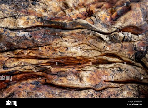 raw rubber  res stock photography  images alamy