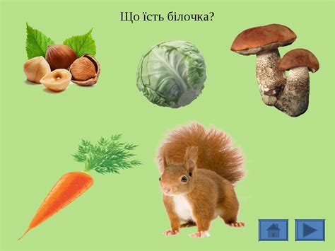 Дидактична гра" Хто що їсть"