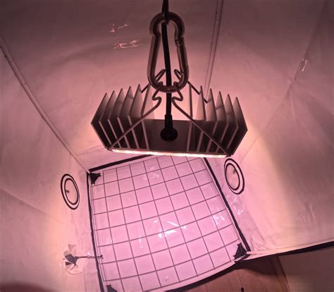 Die besten LED Grow Lampen » Vergleich & Grow Reports 2025