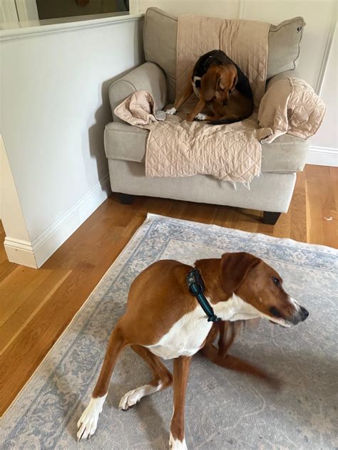 Chat with Undercover police mission - Enjoy Free AI Character Roleplay