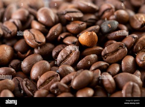 Coffee bean close up Stock Photo - Alamy