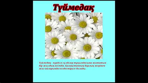 ҚАЗАҚСТАН ӨСІМДІКТЕРІ - YouTube