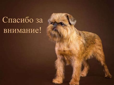 Мифологическое мировоззрение - презентация онлайн