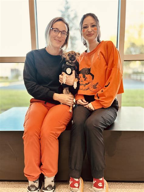 DeSoto Animal Clinic | Bradenton FL