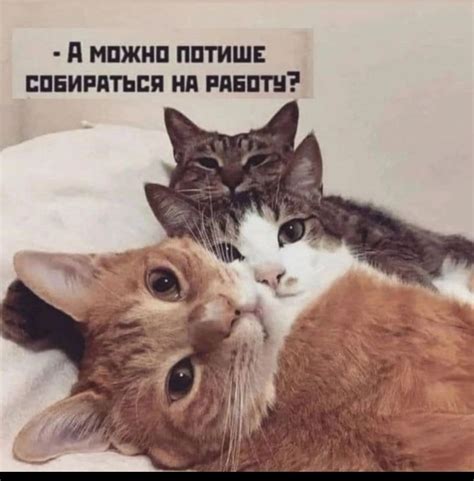Скинь мне фотку без белья Лови - выпуск №1796390