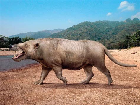 Ten Exquisite Creatures That Once Roamed the Earth