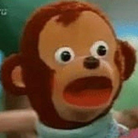 monkey , surprised , cute | Memes, Memes lindos, Memes graciosos