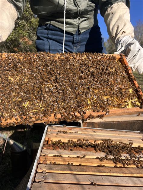 qpublic walton county fl 4