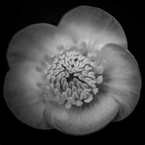 Nathan Ruby Photography