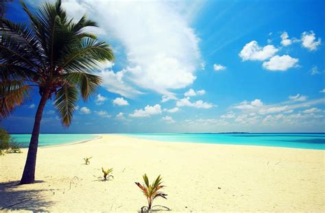 Kerennya 10 Pantai Terindah di Dunia ini, Bagaikan Potongan Surga