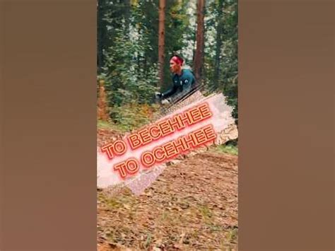 ЛЫЖИ ЛЕТОМ.. - YouTube