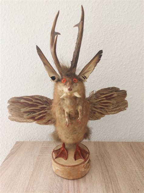 Wolperdinger Bavarian mythical creature around 1920-1930 Taxidermy full ...