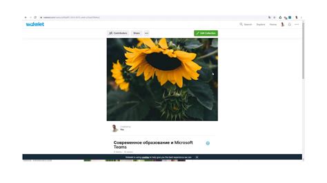 Wakelet. Развитие исследовательских навыков у обучаемых. Обзор - YouTube