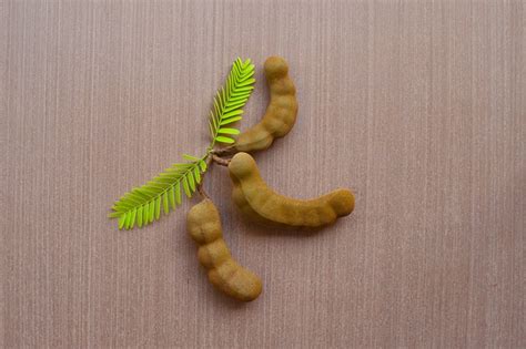 Exótico Comida Nuevo - Foto gratis en Pixabay