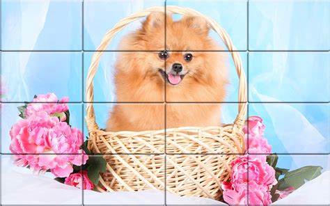Tile Puzzle Pomeranian Dogs – Tamcoapps