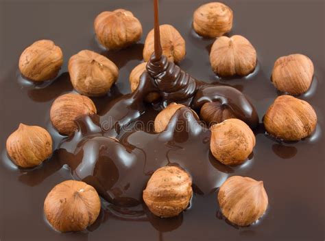 Hazelnut chocolate stock image. Image of snack, temptation - 11592531