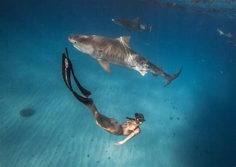 Ocean Ramsey Nude