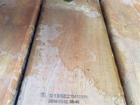 how to get dog urine odor out of hardwood floors 5