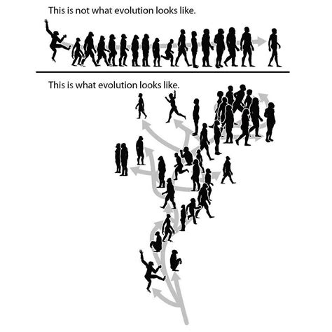 evolution pictures and jokes / funny pictures & best jokes: comics ...