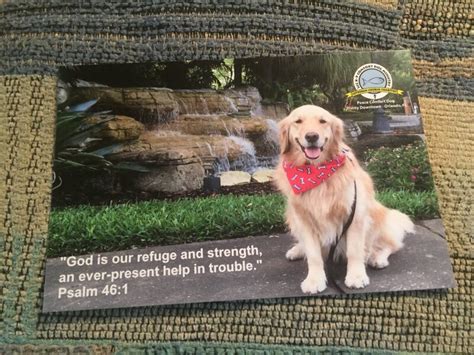 Peace Comfort Dog Delivers Peace-Cards to Senior Residents