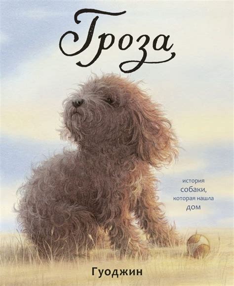 Гроза. История собаки, которая нашла дом | Wordless picture books ...