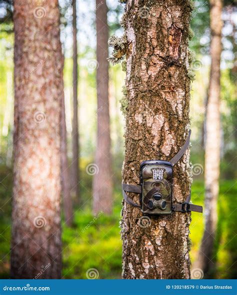 Waterproof Wildlife Trail Camera Stock Image - Image of night, screen