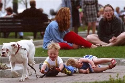 20 Funny Perfectly Timed Photos That Will Make You Laugh