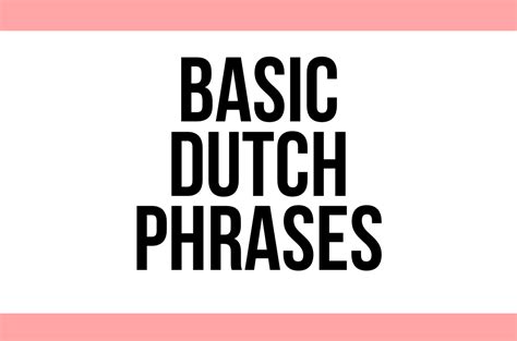 30+ Essential Dutch Phrases For Tourists | The Navigatio