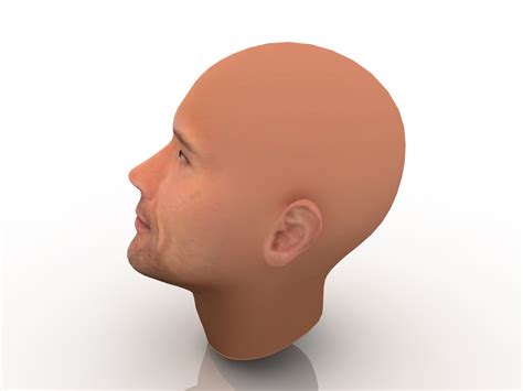 3d модель - Голова
