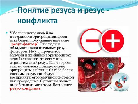 Презентация - Резус – конфликт при беременности » Привет Студент!