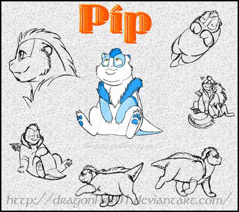Pip Character Sheet 1 by DracoFeathers on DeviantArt