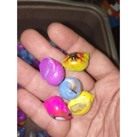 jual cangkang warna kosong satuan shopee indonesia