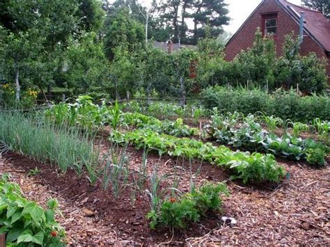 40 vegetable garden design ideas - What you need to know?