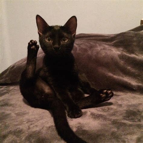 1647 best Homeless Man images on Pholder | Humans Being Bros, Pics and