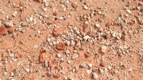 “Атга чулуу” номын өмнөх үг | “Манай говь нутагт эрдэнийн чулуу малын ...