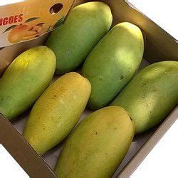 ZIARA Common Mango, For Direct Consumption, Juice Making, Variety ...