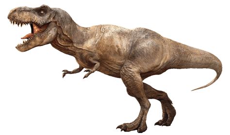 Tyrannosaurus Rex – Journeys Resource