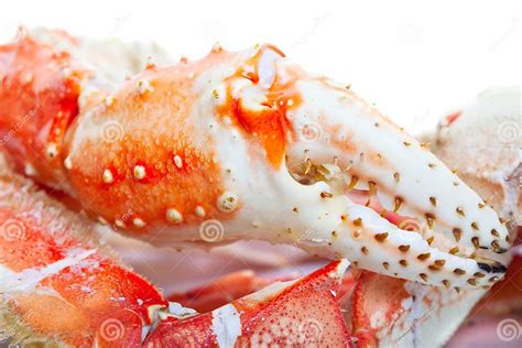 ноги короля рака стоковое фото. изображение насчитывающей мясо - 22594964