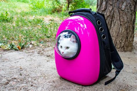 Рюкзак для переноски кошки: какие бывают и как правильно выбрать ...