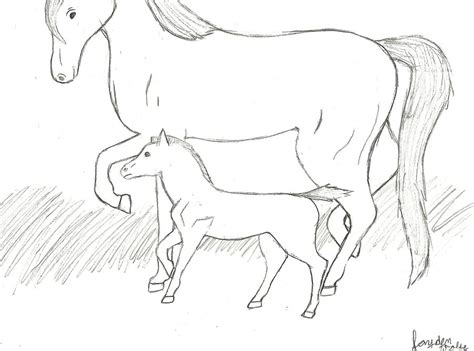 Baby Horse Drawing at GetDrawings | Free download