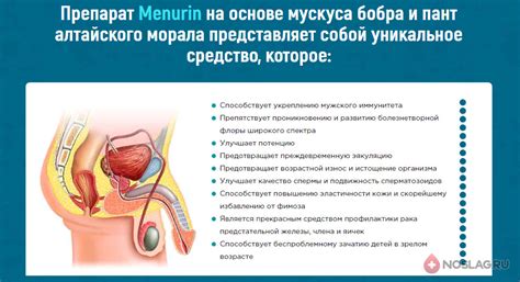 Менурин от простатита: отзывы, цена в аптеке Menurin, развод
