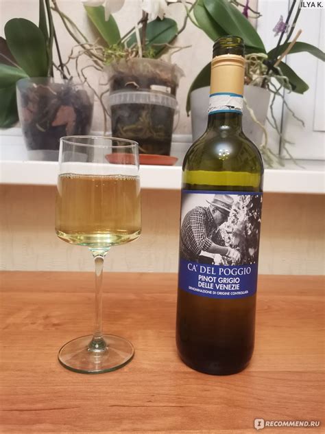 Вино белое сухое Ca'Del Poggio Pinot Grigio - «Ментоловое Пино Гриджио ...