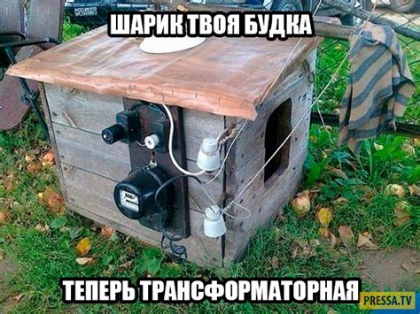 Жизненный юмор в картинках (46 фото)