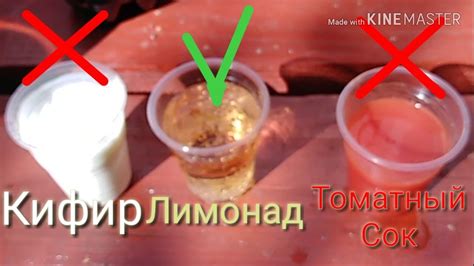 Выбери правильный стаканчик чтобы выжить - YouTube