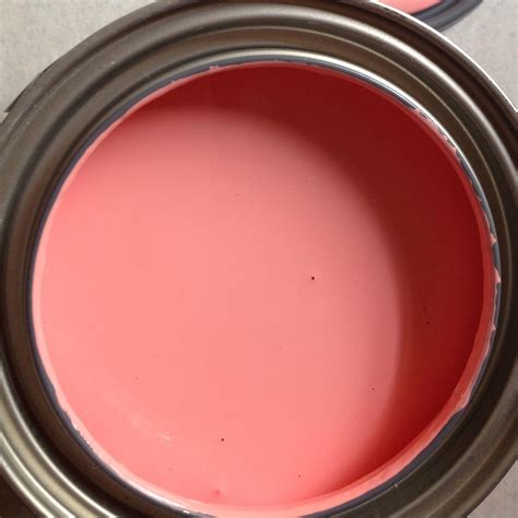 Salmon Pink Color