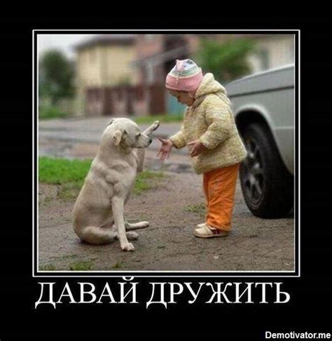 Прикольные картинки о дружбе (184 фото) 🔥 Прикольные картинки и юмор