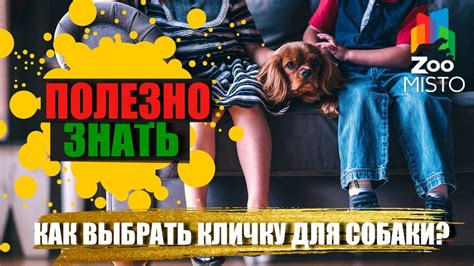 Полезно знать | Как выбрать кличку для собаки? - YouTube