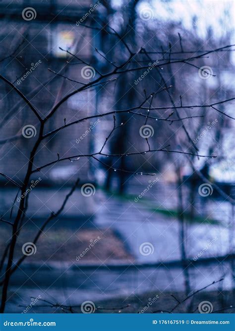 Rainy Weather in a Real Russian Courtyard Stock Image - Image of ...